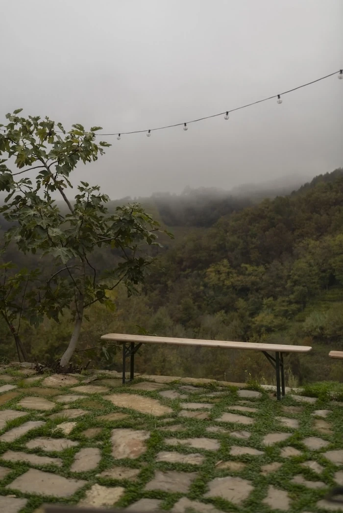 Winter vineyard terrace and misty hills at Borgo Isolabella, home of VEDA Ayurvedic Wellness in Loazzolo, Piemonte